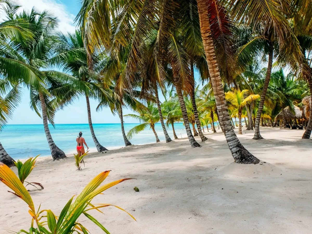 caribbean-beach-with-palm-trees