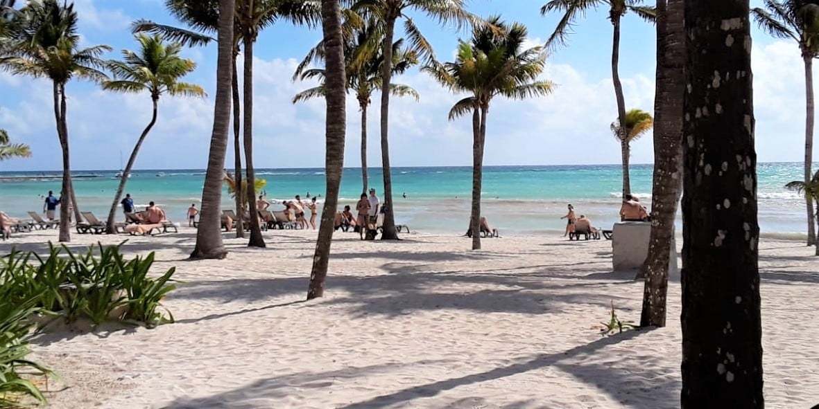 Palm Trees in Rivera Maya Barcelo
